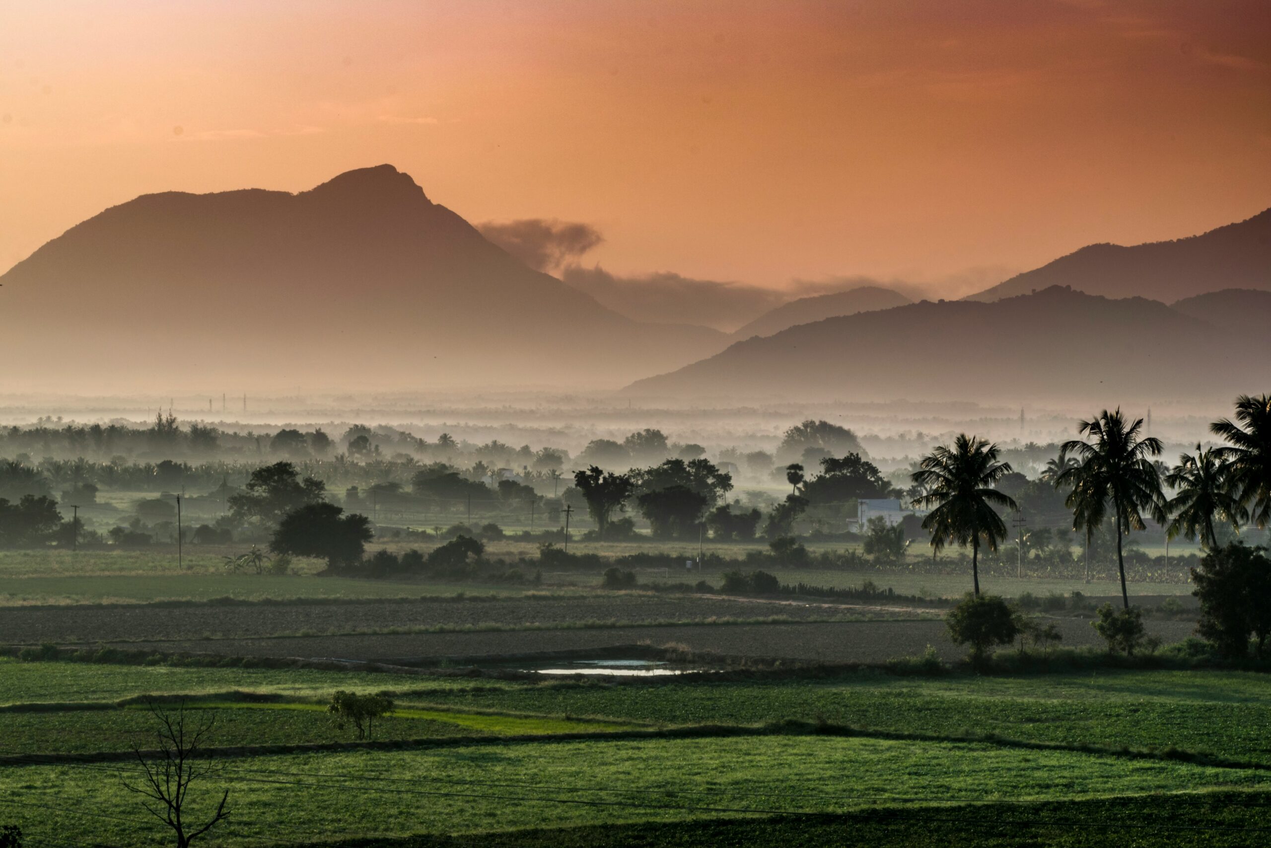 インドの田園風景と夕景